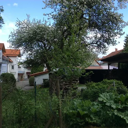 Appartement Christiane - Neue, Moderne Mit Blick Ins Gruene *