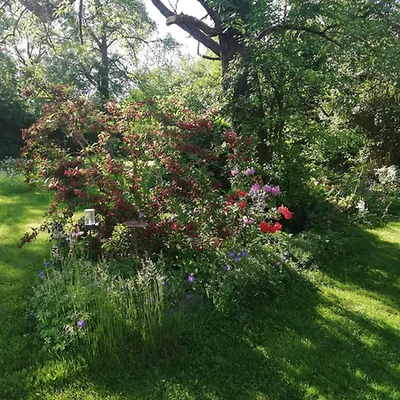 Christiane - Neue, Moderne Mit Blick Ins Gruene Ober-Abtsteinach
