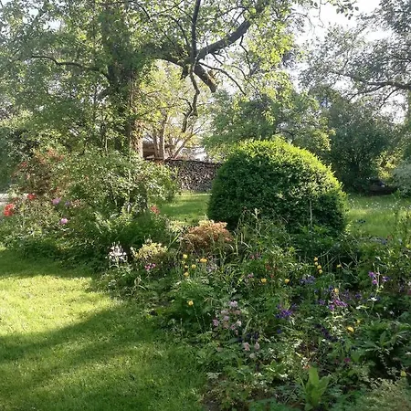 Christiane - Neue, Moderne Mit Blick Ins Gruene Apartmán Ober-Abtsteinach