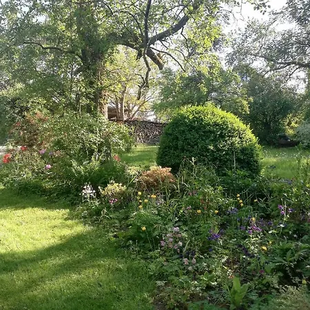 Christiane - Neue, Moderne Mit Blick Ins Gruene Appartement Ober-Abtsteinach