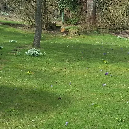 Christiane - Neue, Moderne Mit Blick Ins Gruene *