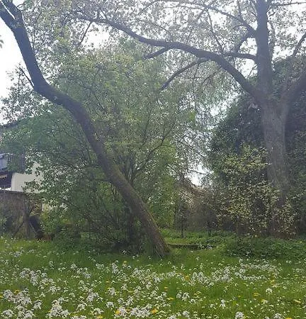 Apartmán Christiane - Neue, Moderne Mit Blick Ins Gruene *