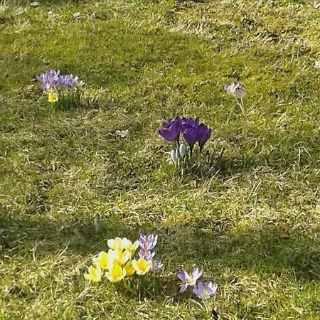 Apartmán Christiane - Neue, Moderne Mit Blick Ins Gruene Ober-Abtsteinach