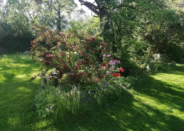 Christiane - Neue, Moderne Mit Blick Ins Gruene Ober-Abtsteinach