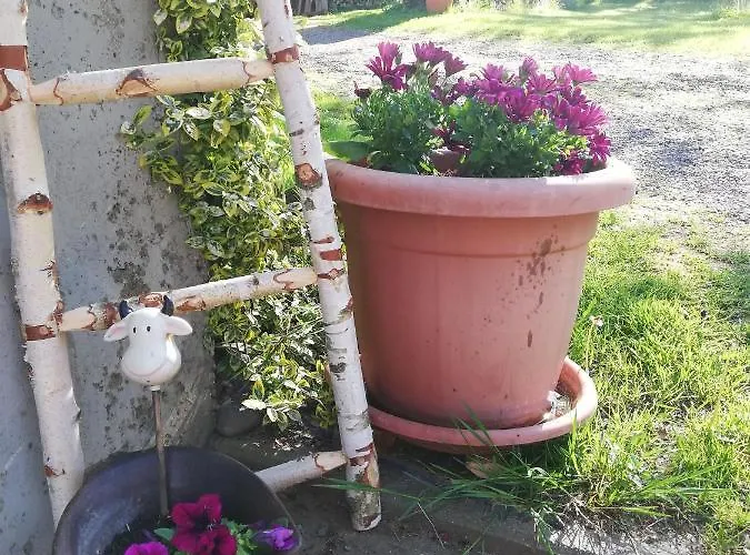 شقة Christiane - Neue, Moderne Mit Blick Ins Gruene Ober-Abtsteinach