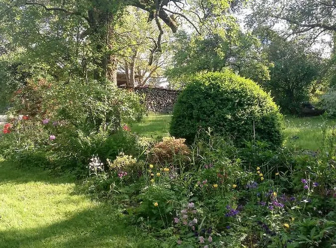 Christiane - Neue, Moderne Mit Blick Ins Gruene Appartamento Ober-Abtsteinach