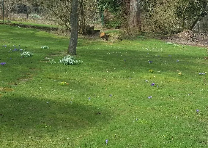 Christiane - Neue, Moderne Mit Blick Ins Gruene *