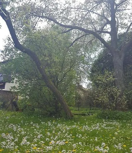 شقة Christiane - Neue, Moderne Mit Blick Ins Gruene *