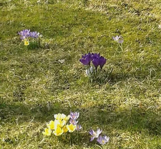 Appartamento Christiane - Neue, Moderne Mit Blick Ins Gruene Ober-Abtsteinach